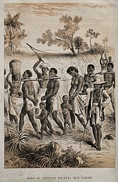 media/galleries/big/97573-Group_of_men_and_women_being_taken_to_a_slave_market_Wellcome_V0050647.jpg
