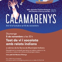 Calamarenys- Tast de vi i xocolata